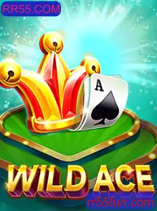 Explorando WildAce: O Novo Fenômeno de Entretenimento em RR55.COM